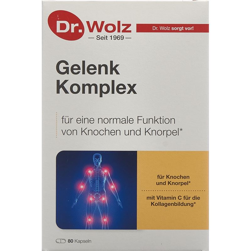 DR. WOLZ Gelenk Komplex Kaps Blist 80 Stk