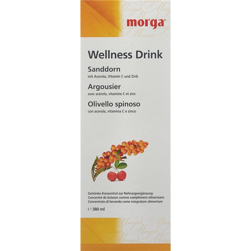 MORGA Sanddorn Wellness Drink Fl 380 ml