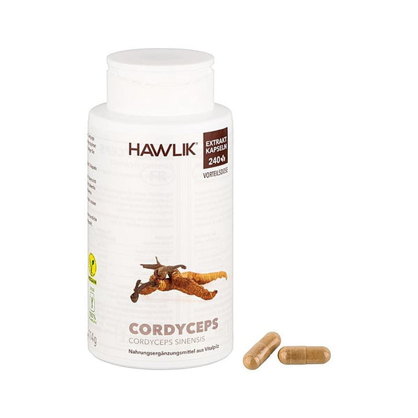 HAWLIK Cordyceps Extrakt Kaps 240 Stk