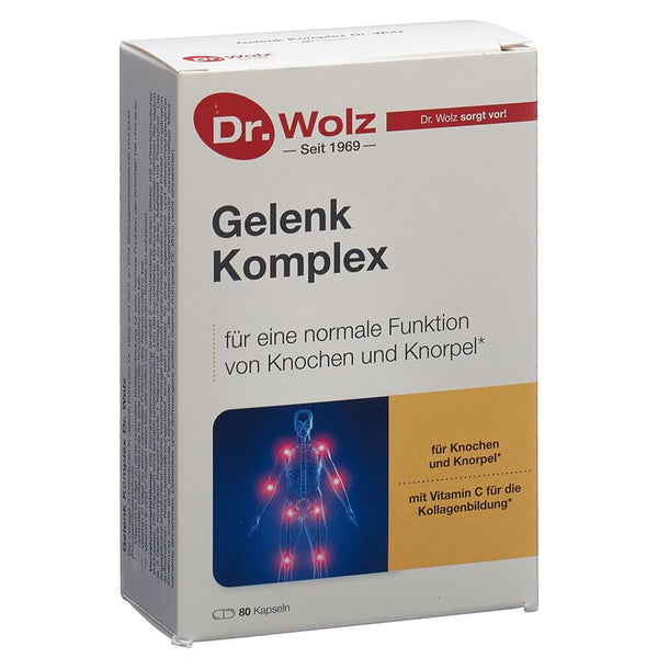 DR. WOLZ Gelenk Komplex Kaps Blist 80 Stk