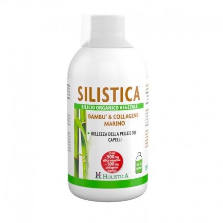 HOLISTICA Silistica Silicium pflanzlich Fl 500 ml