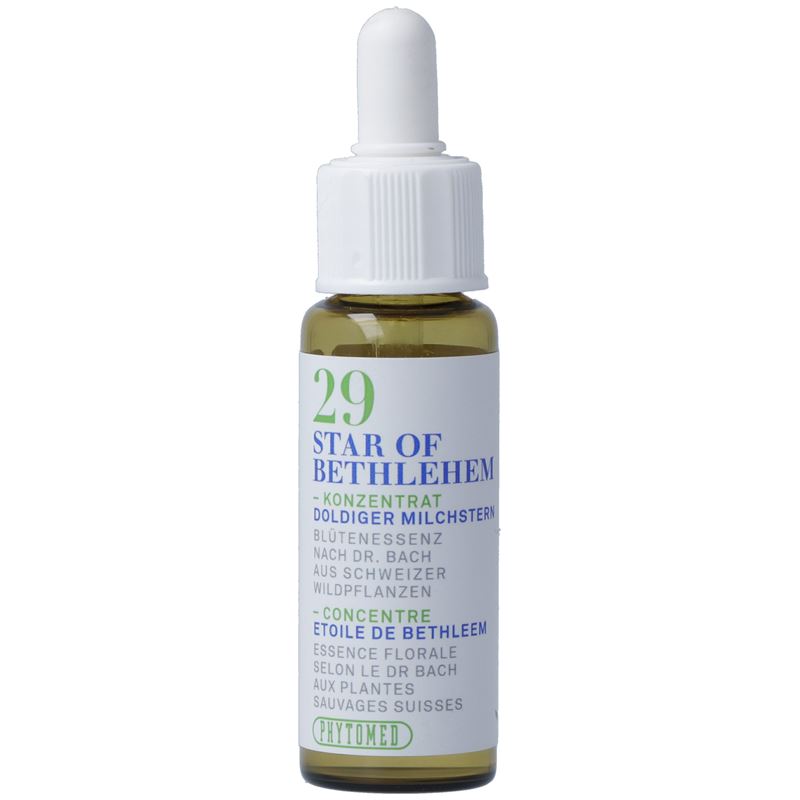 PHYTOMED Bachblüten No29 Dold Milchstern Fl 10 ml