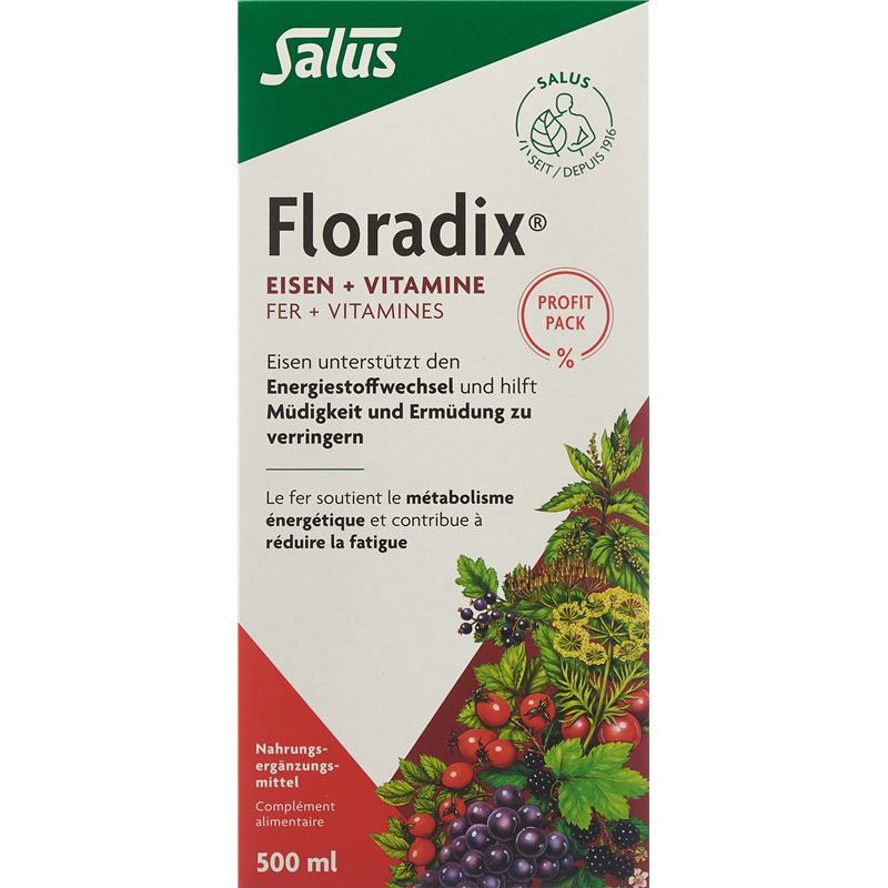 FLORADIX Eisen + Vitamine Profit Pack 500 ml