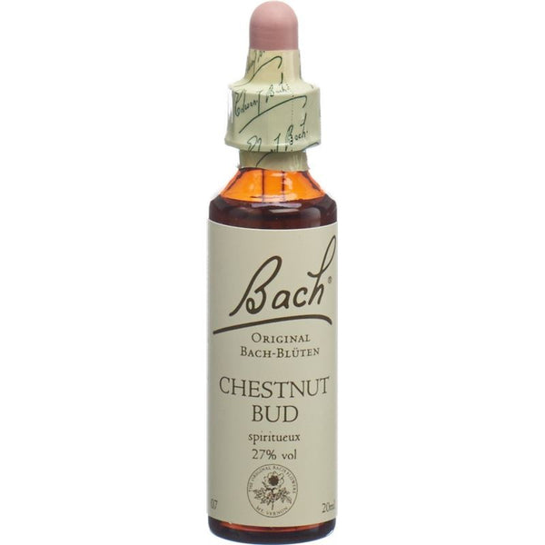 BACH-BLÜTEN Original Chestnut Bud No07 20 ml