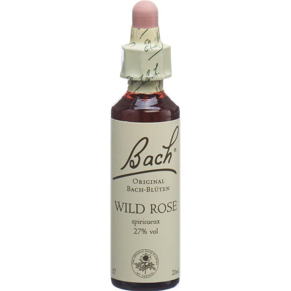 BACH-BLÜTEN Original Wild Rose No37 20 ml