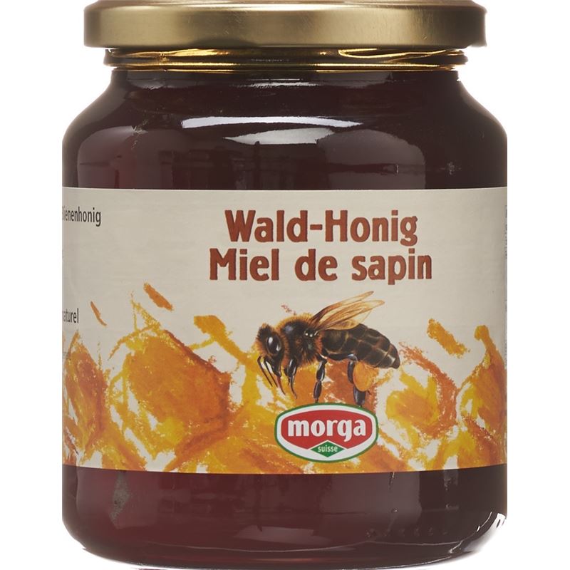 MORGA Wald Honig Ausland Glas 500 g