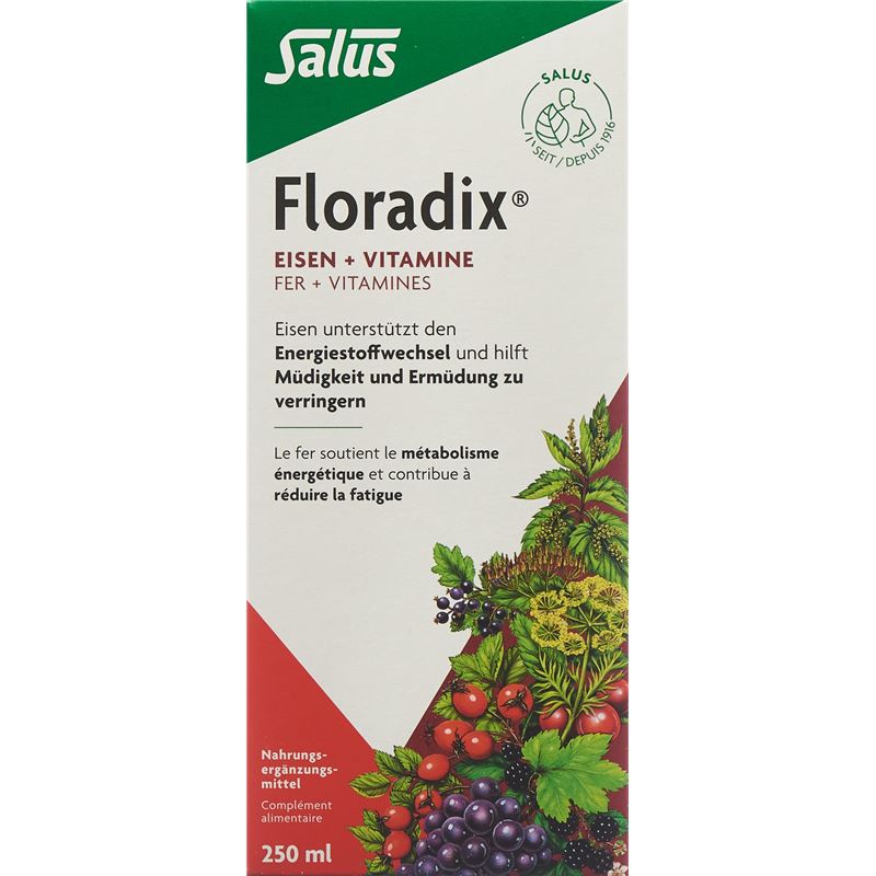 FLORADIX Eisen + Vitamine Fl 250 ml