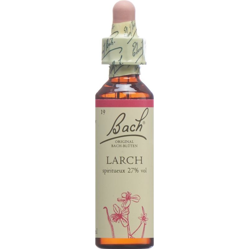 BACH-BLÜTEN Original Larch No19 20 ml