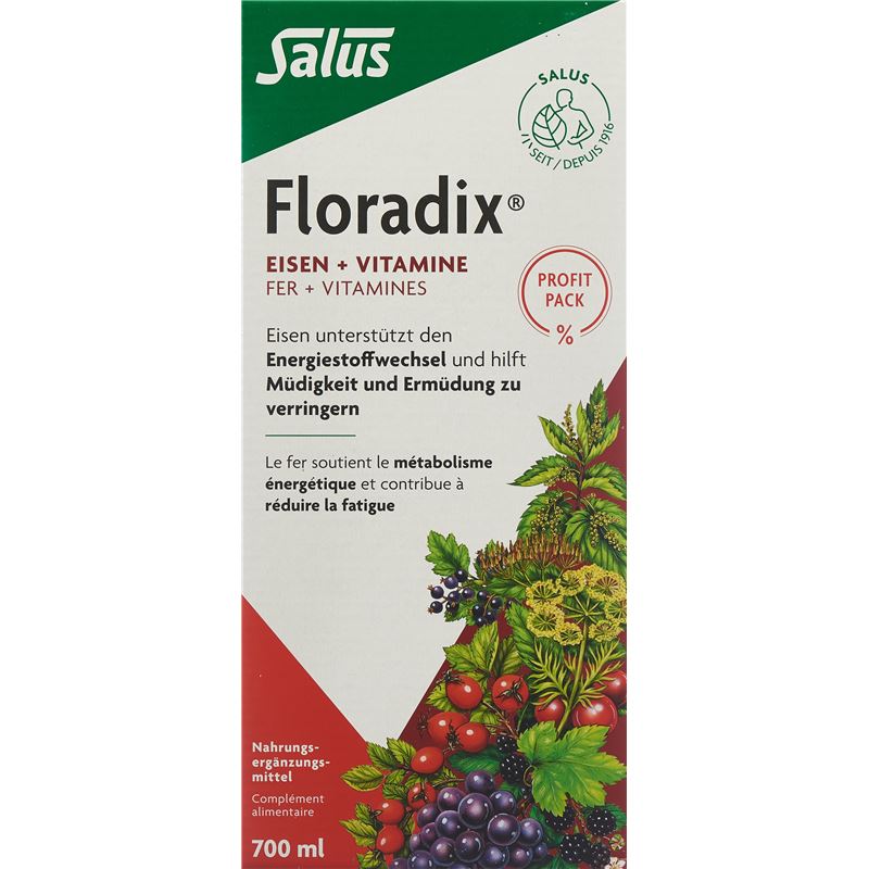 FLORADIX Eisen + Vitamine Profit Pack 700 ml