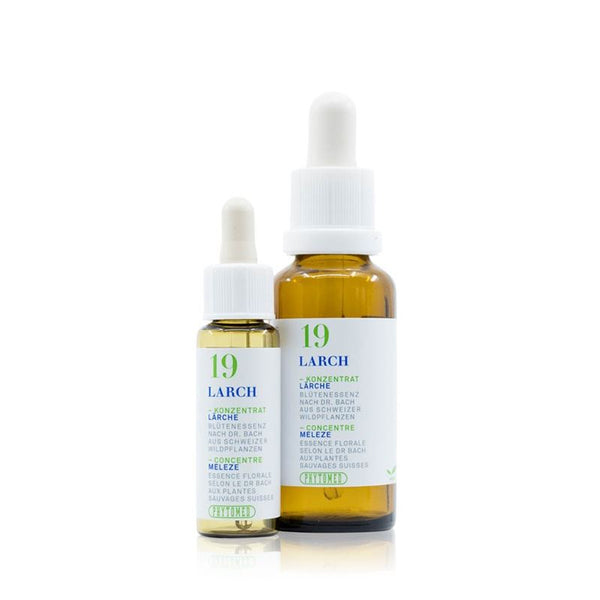 PHYTOMED Bachblüten No19 Lärche Fl 10 ml