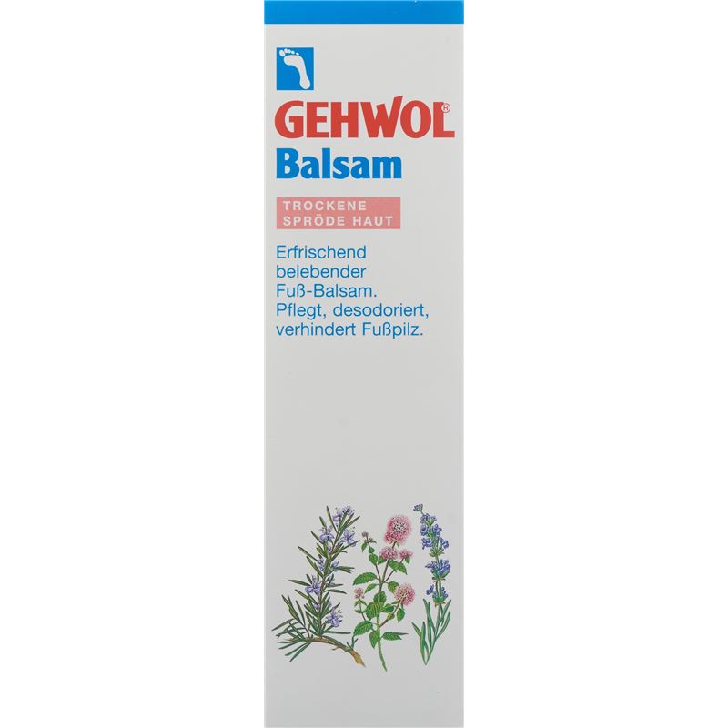 GEHWOL Balsam trockene Haut Tb 125 ml